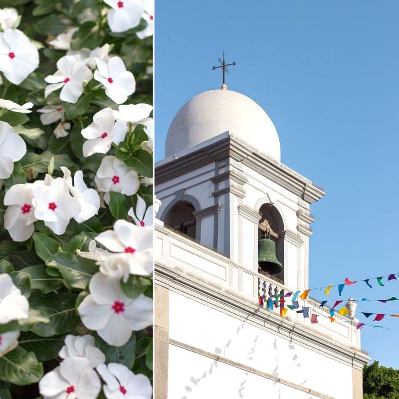flores y campanario de la parroquia del buen suceso en carrizal de ingenio